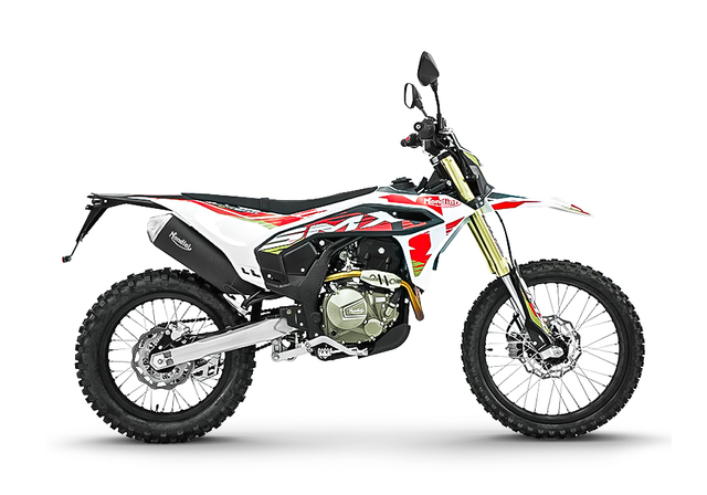 SMX300 Enduro 292cc 双运动摩托车，带双 ABS