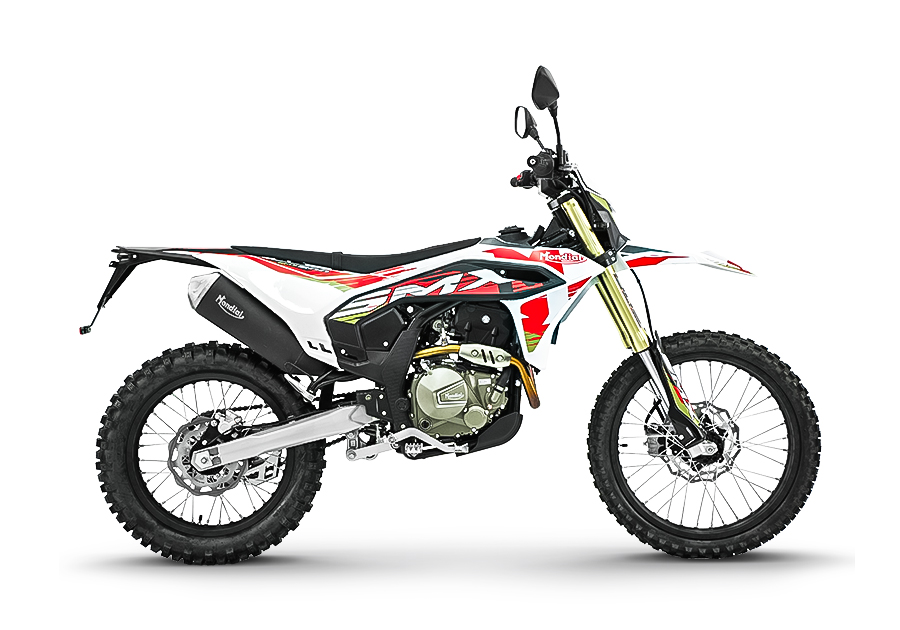 SMX300 Enduro 292cc 双运动摩托车，带双 ABS